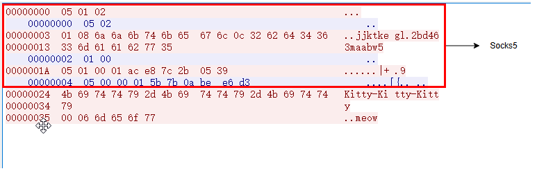 socks5_protocol.png