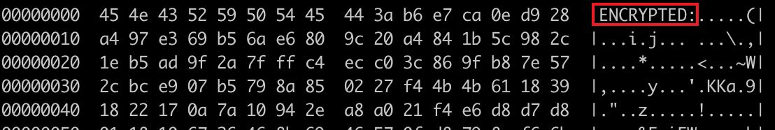 ENCRYPTED_stage2.png