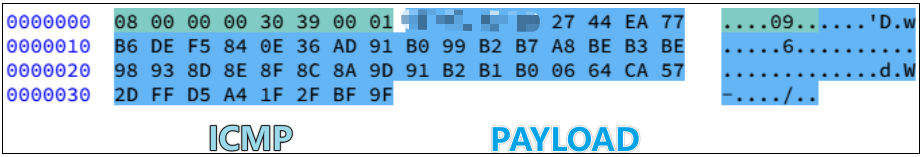 dst_icmppacket_mask.png